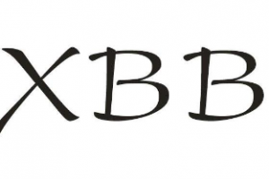 xbb是什么意思