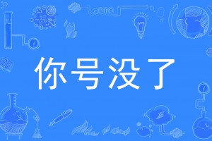 你号没了是什么意思