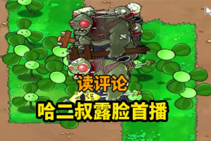 哈二叔是什么意思