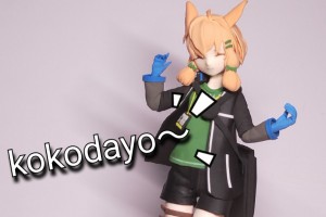 kokodayo是什么意思