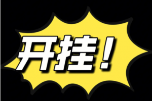 開掛是什么意思