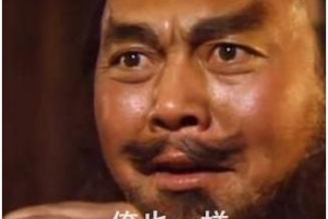 俺也一樣是什么意思