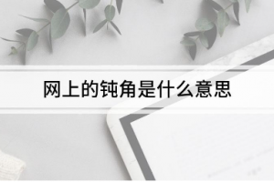 鈍角是什么意思