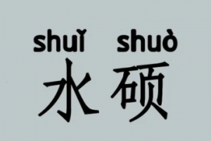 一年制水碩是什么意思