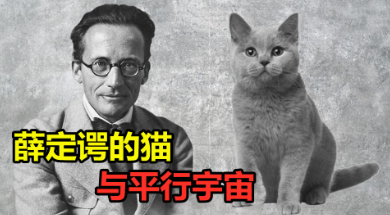 薛定谔的猫
