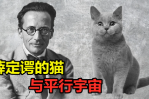 薛定諤的貓是什么意思