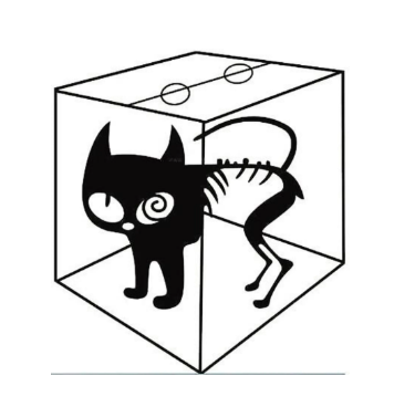 薛定谔的猫