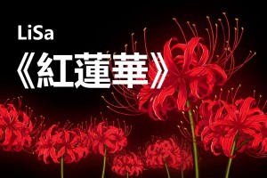 速食面是什么意思