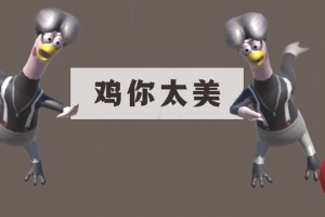 鸡你实在是太美是什么意思