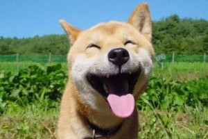 社交稀土是什么意思