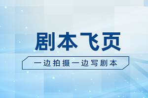 飛頁(yè)是什么意思