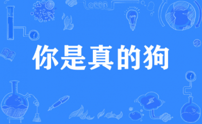 你是真的狗