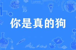 你是真的狗是什么意思