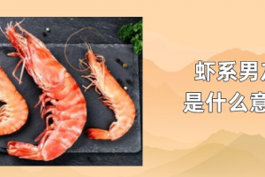 蝦系男友是什么意思