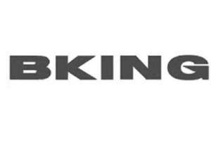 bking是什么意思