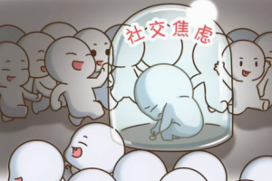 矛盾性社恐是什么意思