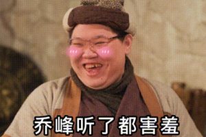 PDD喬峰plus是什么意思