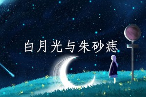 白月光與朱砂痣是什么意思