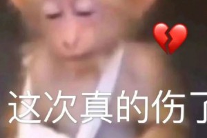 雪唱完不用回宿舍了是什么意思