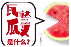 瓦達(dá)瓜叉是什么意思