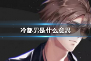 冷都男是什么意思