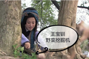 王宝钏挖野菜是什么意思