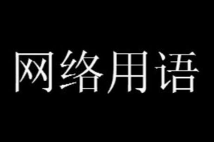 淺淺體是什么意思