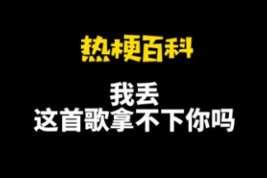 我丟這首歌拿不下你嗎是什么意思
