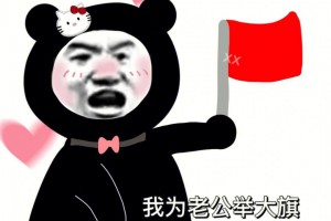 舉大旗是什么意思