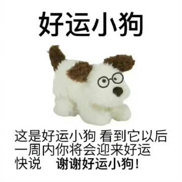 謝謝好運(yùn)小狗