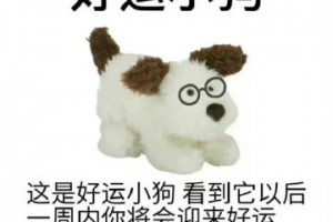 謝謝好運小狗是什么意思