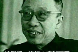 大清亡了是什么意思