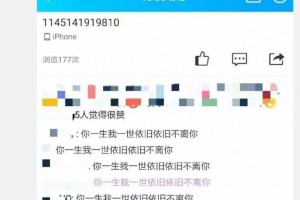 1145141919810是什么意思