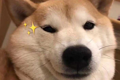 謝謝小狗