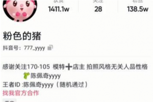 粉色的猪陈佩奇是什么意思