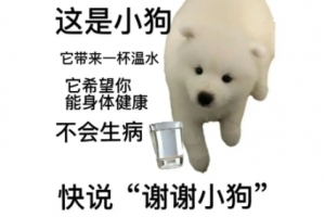 快说谢谢小狗是什么意思