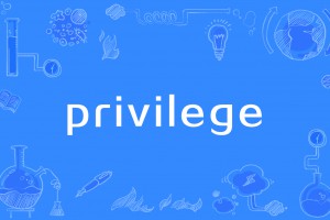privilege是什么意思