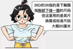 36D是什么意思