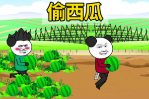 现在跟我去偷西瓜是什么意思