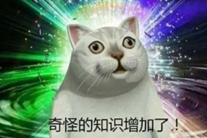 奇??????????怪的知識增加了是什么意思