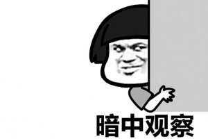 暗中觀察是什么意思