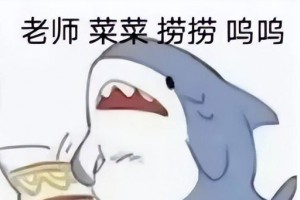 老師菜菜撈撈是什么意思
