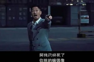 你挑的嘛偶像是什么意思