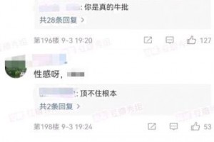 一個星期兩個直接是什么意思