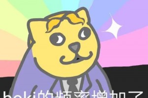 boki是什么意思