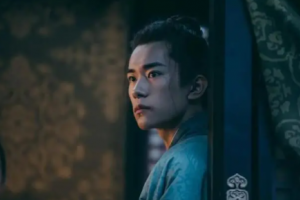 娛樂圈208是什么意思