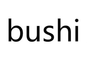 bushi是什么意思