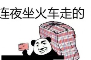 連夜買站票走的是什么意思