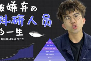 毕导是什么意思