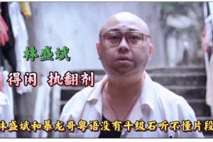 执翻剂是什么意思